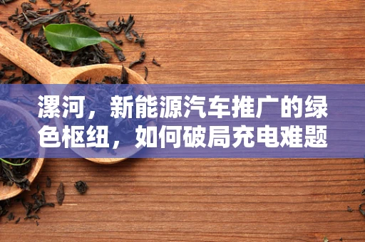 漯河，新能源汽车推广的绿色枢纽，如何破局充电难题？