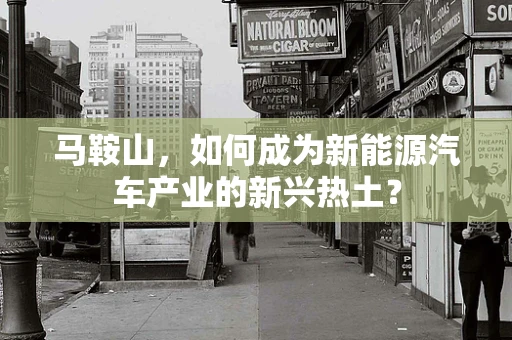 马鞍山，如何成为新能源汽车产业的新兴热土？
