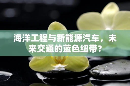 海洋工程与新能源汽车，未来交通的蓝色纽带？
