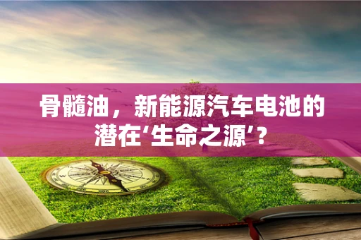 骨髓油，新能源汽车电池的潜在‘生命之源’？