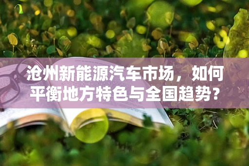沧州新能源汽车市场，如何平衡地方特色与全国趋势？