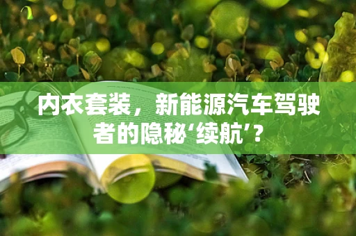 内衣套装，新能源汽车驾驶者的隐秘‘续航’？