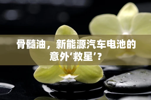 骨髓油，新能源汽车电池的意外‘救星’？