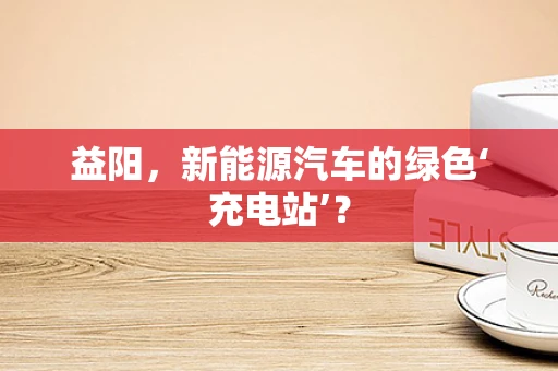 益阳，新能源汽车的绿色‘充电站’？