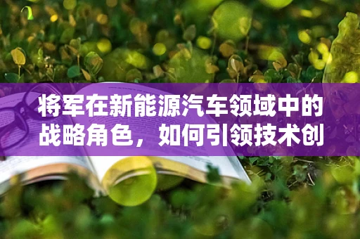 将军在新能源汽车领域中的战略角色，如何引领技术创新与市场突破？