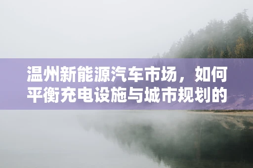 温州新能源汽车市场，如何平衡充电设施与城市规划的‘双赢’？