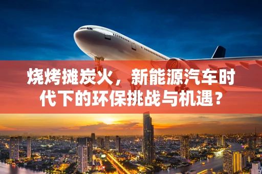 烧烤摊炭火，新能源汽车时代下的环保挑战与机遇？