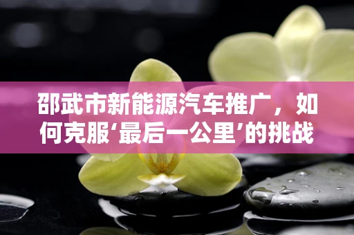 邵武市新能源汽车推广，如何克服‘最后一公里’的挑战？