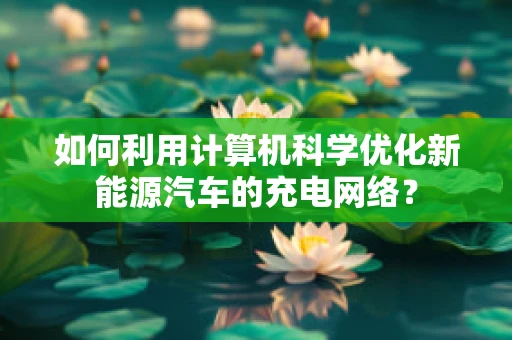 如何利用计算机科学优化新能源汽车的充电网络？