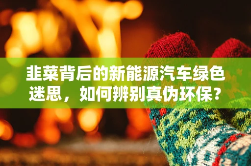 韭菜背后的新能源汽车绿色迷思，如何辨别真伪环保？