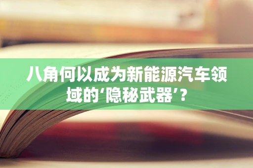 八角何以成为新能源汽车领域的‘隐秘武器’？
