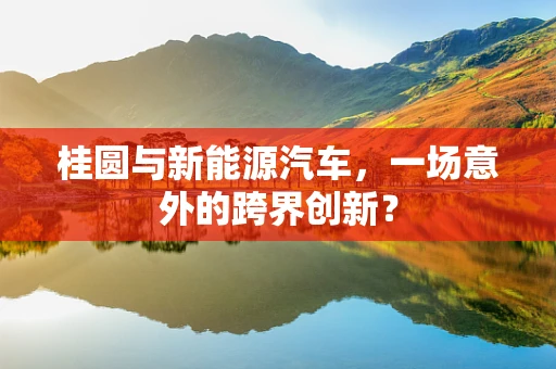 桂圆与新能源汽车，一场意外的跨界创新？