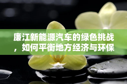 廉江新能源汽车的绿色挑战，如何平衡地方经济与环保发展？