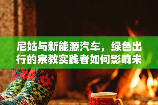 尼姑与新能源汽车，绿色出行的宗教实践者如何影响未来？