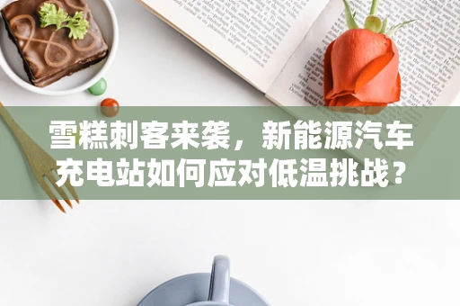 雪糕刺客来袭，新能源汽车充电站如何应对低温挑战？
