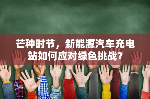 芒种时节，新能源汽车充电站如何应对绿色挑战？
