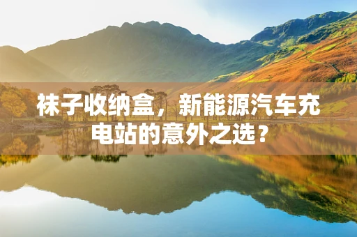袜子收纳盒，新能源汽车充电站的意外之选？