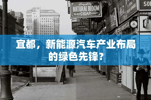 宜都，新能源汽车产业布局的绿色先锋？