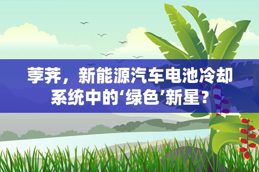 荸荠，新能源汽车电池冷却系统中的‘绿色’新星？