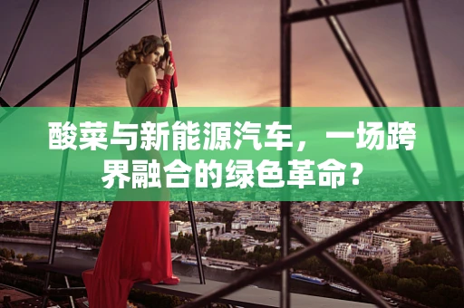 酸菜与新能源汽车，一场跨界融合的绿色革命？