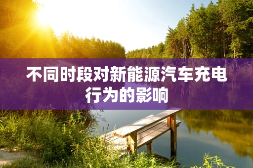 不同时段对新能源汽车充电行为的影响