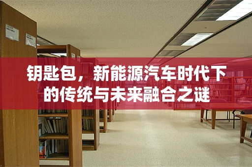 钥匙包，新能源汽车时代下的传统与未来融合之谜