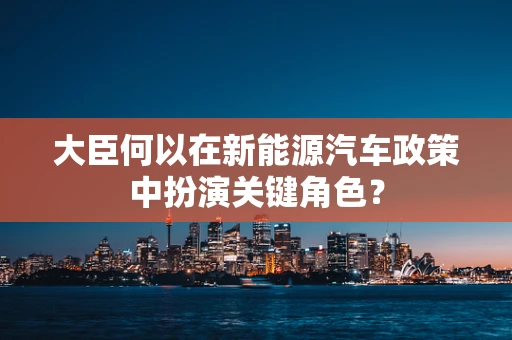 大臣何以在新能源汽车政策中扮演关键角色？