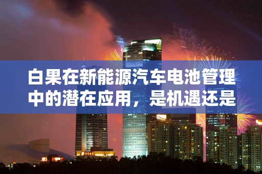 白果在新能源汽车电池管理中的潜在应用，是机遇还是挑战？