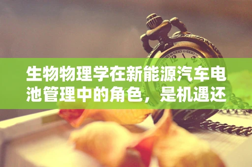 生物物理学在新能源汽车电池管理中的角色，是机遇还是挑战？