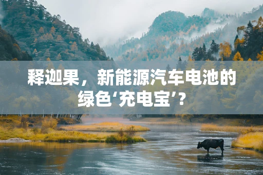 释迦果，新能源汽车电池的绿色‘充电宝’？