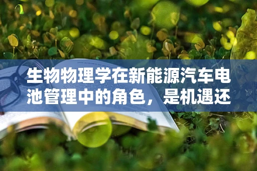 生物物理学在新能源汽车电池管理中的角色，是机遇还是挑战？