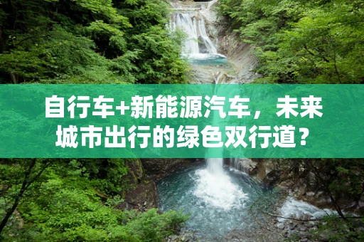 自行车+新能源汽车，未来城市出行的绿色双行道？
