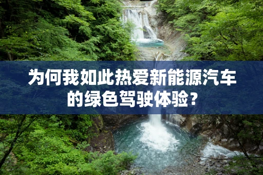 为何我如此热爱新能源汽车的绿色驾驶体验？