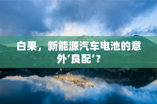 白果，新能源汽车电池的意外‘良配’？