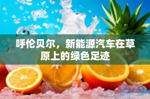 呼伦贝尔，新能源汽车在草原上的绿色足迹
