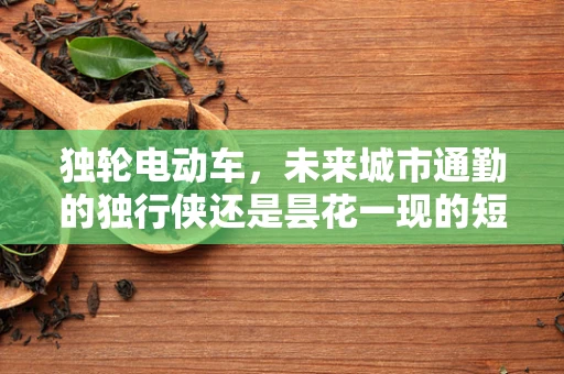 独轮电动车，未来城市通勤的独行侠还是昙花一现的短命产品？