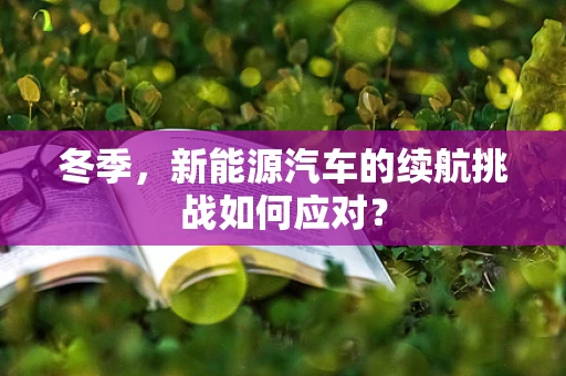 冬季，新能源汽车的续航挑战如何应对？