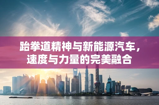 跆拳道精神与新能源汽车，速度与力量的完美融合