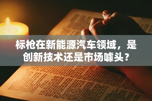 标枪在新能源汽车领域，是创新技术还是市场噱头？