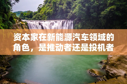 资本家在新能源汽车领域的角色，是推动者还是投机者？