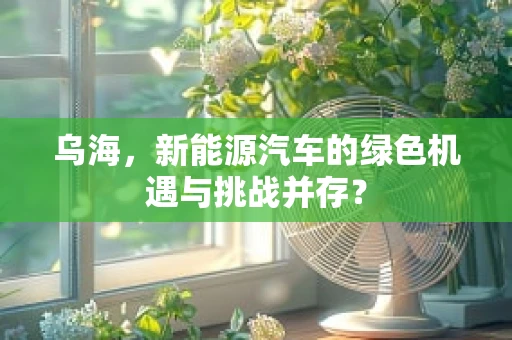 乌海，新能源汽车的绿色机遇与挑战并存？