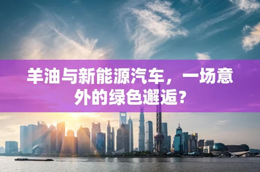 羊油与新能源汽车，一场意外的绿色邂逅？