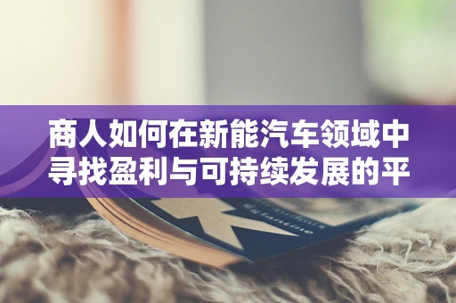 商人如何在新能汽车领域中寻找盈利与可持续发展的平衡点？