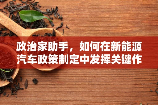 政治家助手，如何在新能源汽车政策制定中发挥关键作用？