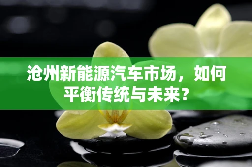沧州新能源汽车市场，如何平衡传统与未来？