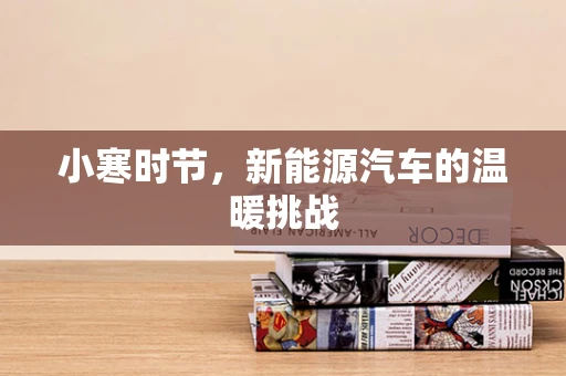 小寒时节，新能源汽车的温暖挑战