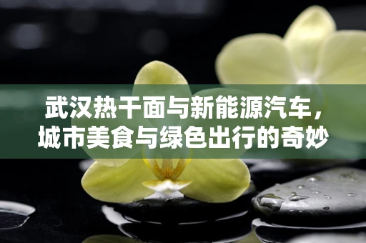 武汉热干面与新能源汽车，城市美食与绿色出行的奇妙碰撞