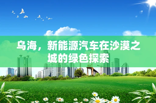 乌海，新能源汽车在沙漠之城的绿色探索