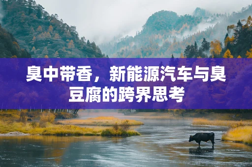 臭中带香，新能源汽车与臭豆腐的跨界思考