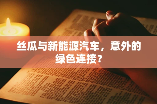 丝瓜与新能源汽车，意外的绿色连接？